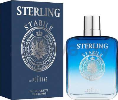 Туалетная вода Positive Parfum Sterling Stabile, мужская, 100 мл
