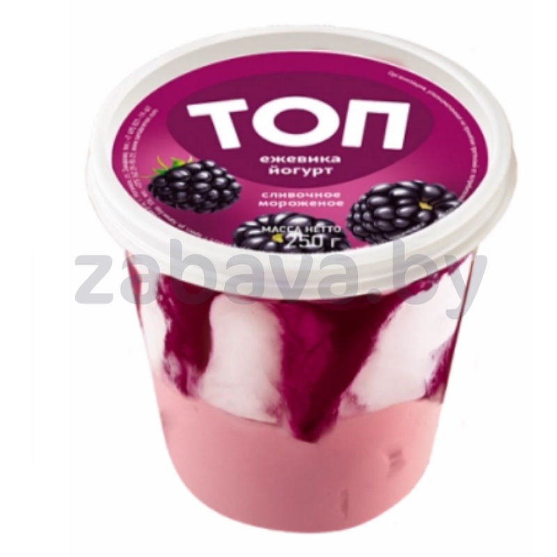 Мороженое сливочное «Биг Топ», йогурт-ежевика, 250 г