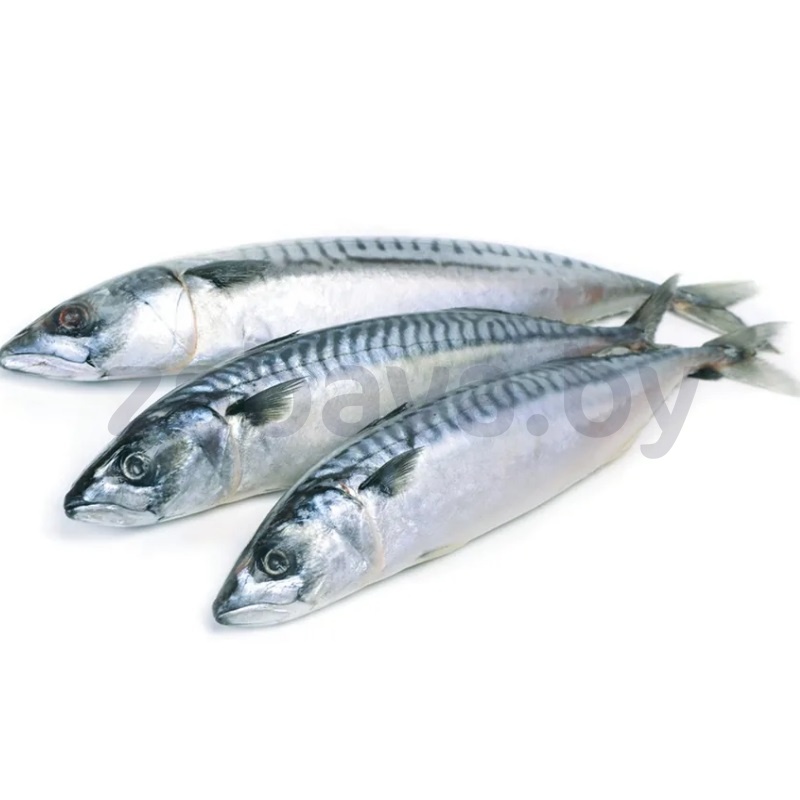 Скумбрия Fish&Dish, св/м, фас., 1 кг