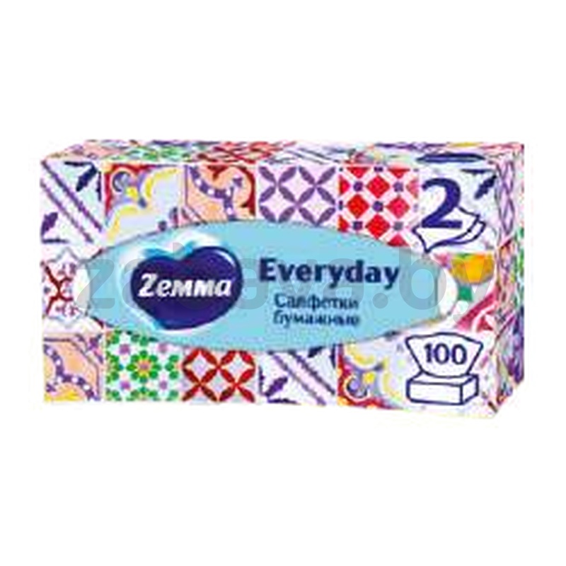 Бумажные салфетки Zemma Everyday, 2 слоя, 100 листов