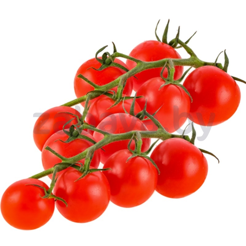 Томат на ветке, 1 кг