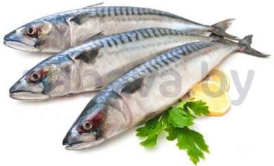 Скумбрия, мор., н/р, 1 кг