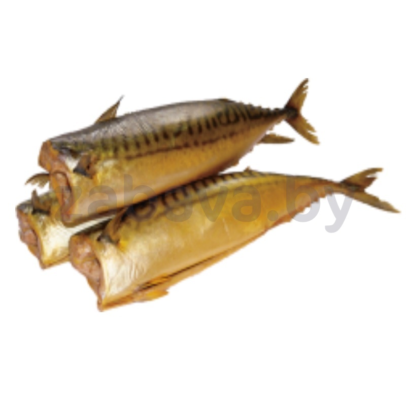 Скумбрия х/к, б/г, 1 кг