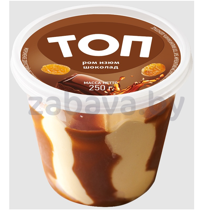 Мороженое «Топ», ром-изюм-шоколад, 250 г