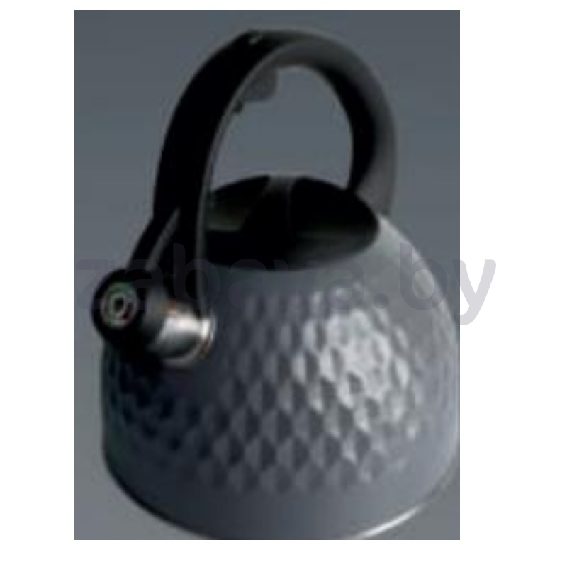 Чайник Regent, со свистком, 2,6 л