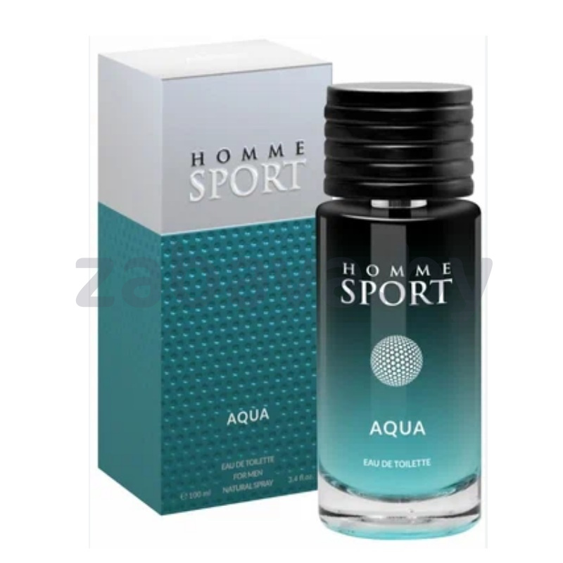 Туалетная вода мужская Homme Sport, 100 мл