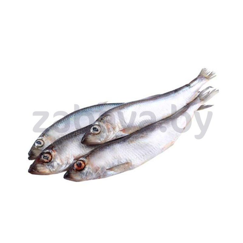 Салака Fish&Dish, св/м, н/р, с/г, фас., 1 кг