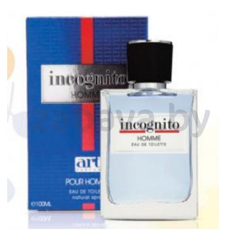 Вода туалетная мужская Incognito Homme, 100 мл