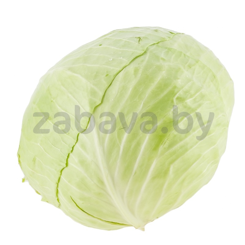 Капуста белокочанная, РБ, 1 кг