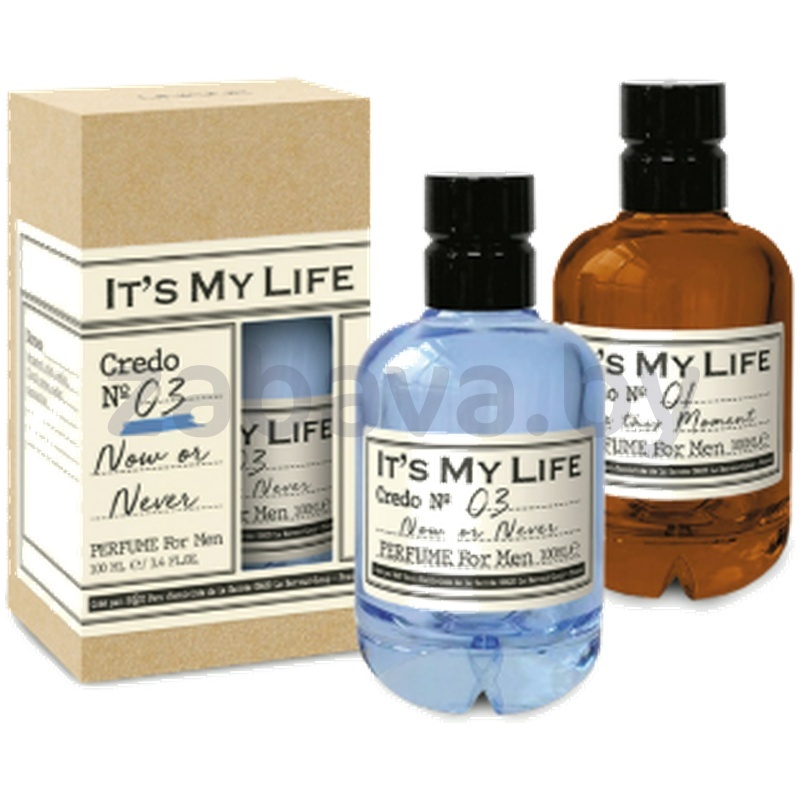 Духи мужские Art Parfum, It's My Life Credo, 100 мл