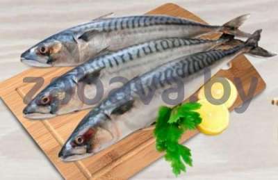 Скумбрия, замор., с/г, непотр., 1 кг