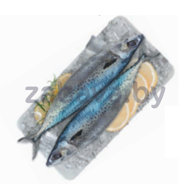 Скумбрия тихоок., с/м, фас., 1 кг