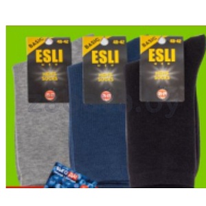 Носки мужские Esli Basic, р-р 25-27/27-29, в ассорт.