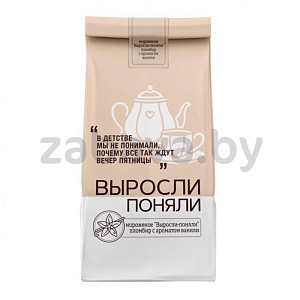 Мороженое «Выросли-поняли», пломбир, с ароматом ванили, 900 г