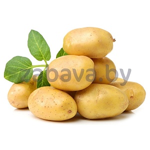 Картофель ранний, 1 кг