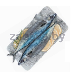 Скумбрия тихоок., с/м, фас., 1 кг