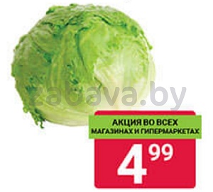 Капуста «Айсберг», 1 кг