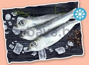 Салака, с/м, 1 кг