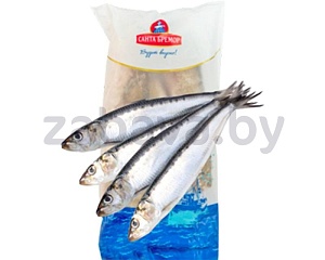 Салака «Санта Бремор», свежемороженая, 1 кг