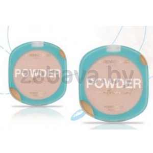 Пудра матирующая для лица Vivienne Sabo, Power Matt Powder