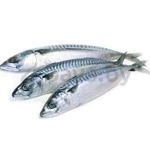 Скумбрия Fish&Dish, св/м, фас., 1 кг