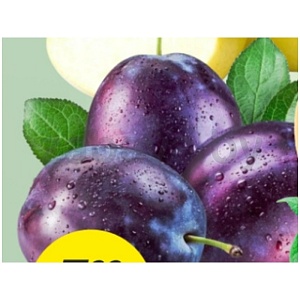 Слива «Пантера», 1 кг