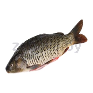 Карп отборный потр., с/м, 1 кг