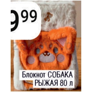 Блокнот «Собака рыжая», 80 л.