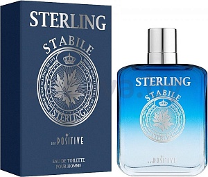 Туалетная вода Positive Parfum Sterling Stabile, мужская, 100 мл