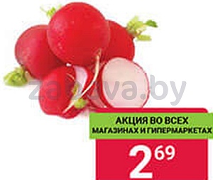 Редис красный, грунтовый, РБ, 1 кг