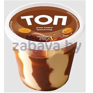 Мороженое «Топ», ром-изюм-шоколад, 250 г