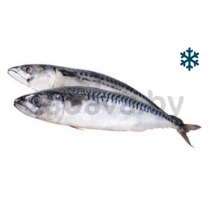 Скумбрия японская, н/р, морож., 1 кг