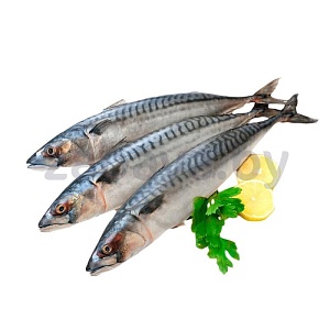 Скумбрия атлантическая, с/м, неразделанная, фасованная, 1 кг