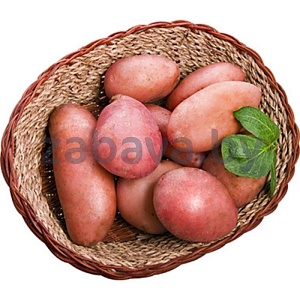 Картофель красный, ранний, урожай 2022 года, 1 кг