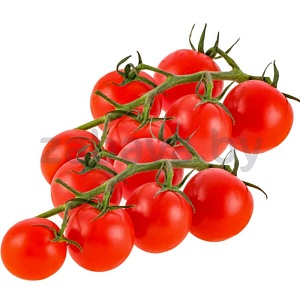 Томат на ветке, 1 кг